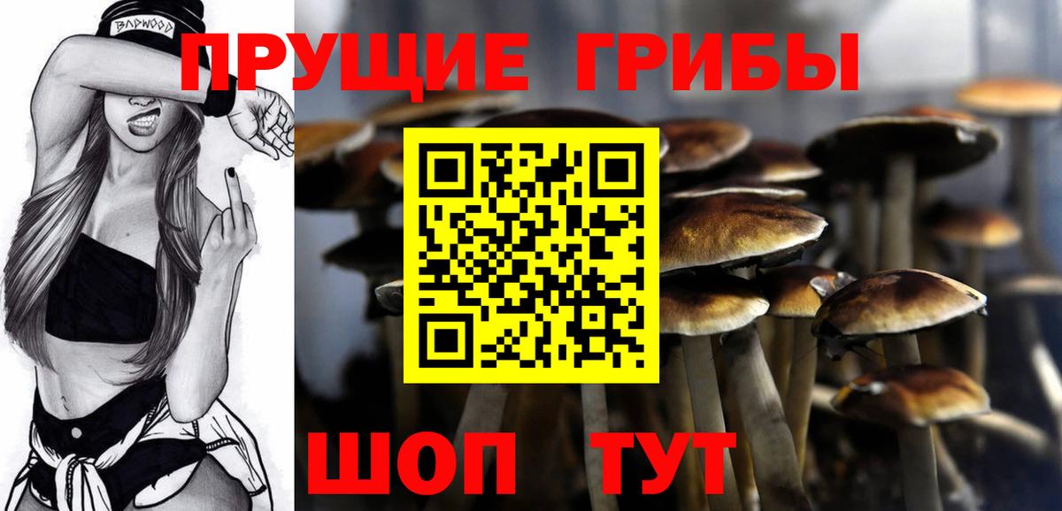 Галлюциногенные грибы Magic Shrooms  Вход с VPN  Ялуторовск 
